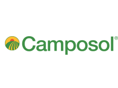 Inicio camposol